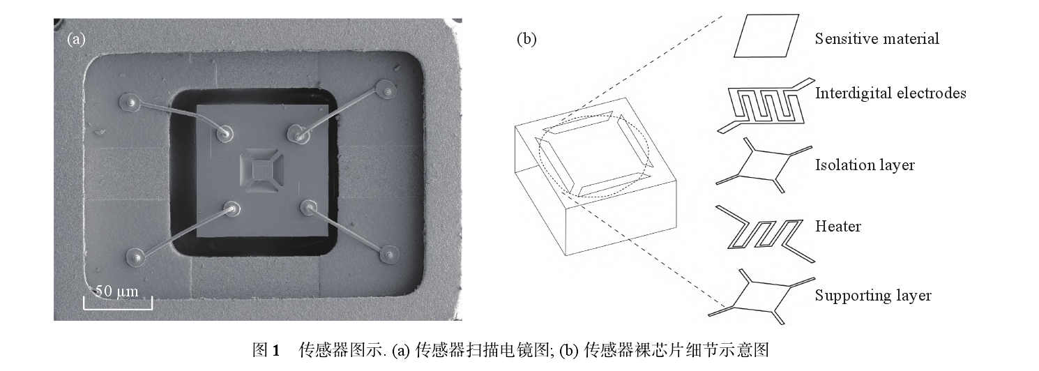 传感器仿真.png
